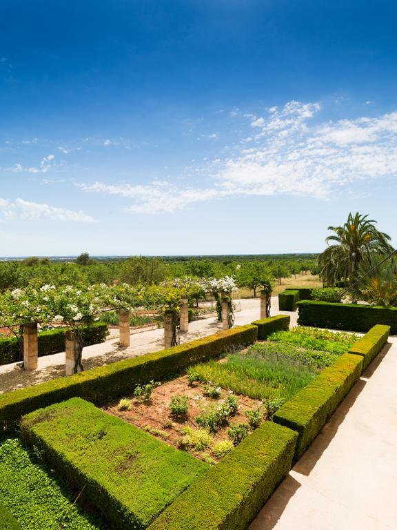 קמפוס Casa Rural Son Bernadinet מראה חיצוני תמונה